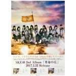SKE48(AKB48) ポスター 革命の丘 2017
