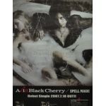 Acid Black Cherry / SPELL MAGIC 告知ポスター
