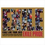 EXILE(エグザイル) EXILE LIVE TOUR 2013 “EXILE PRIDE” 追加公演 EXILE PRIDE ポスター