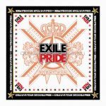 EXILE(エグザイル) EXILE LIVE TOUR 2013 “EXILE PRIDE” 追加公演 EXILE PRIDE バンダナ