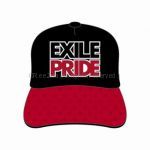 EXILE(エグザイル) EXILE LIVE TOUR 2013 “EXILE PRIDE” EXILE PRIDE CAP