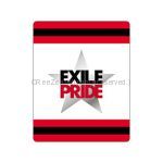 EXILE(エグザイル) EXILE LIVE TOUR 2013 “EXILE PRIDE” EXILE PRIDE リストバンド
