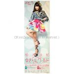 AKB48(エーケービー) ポスター ゆきりんワールド 2014