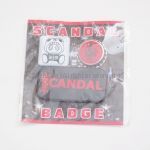 SCANDAL(スキャンダル) OSAKA-JO HALL 2013「Wonderful Tonight」 ブリキキャンバッジ 缶バッジセット